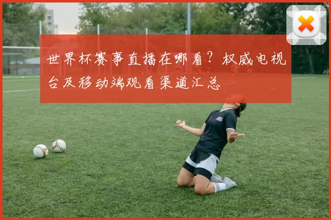 世界杯赛事直播在哪看？权威电视台及移动端观看渠道汇总