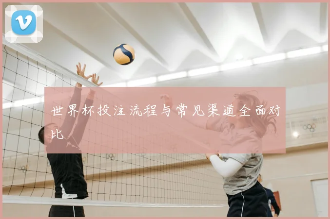 世界杯投注流程与常见渠道全面对比