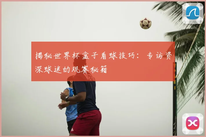 揭秘世界杯盒子看球技巧：专访资深球迷的观赛秘籍