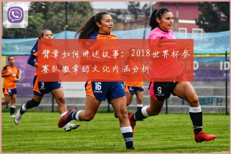 臂章如何讲述故事：2018世界杯参赛队徽章的文化内涵分析