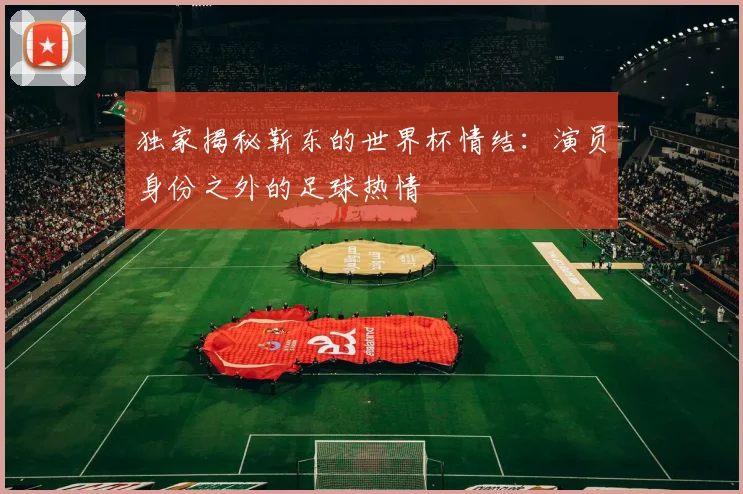 独家揭秘靳东的世界杯情结:演员身份之外的足球热情