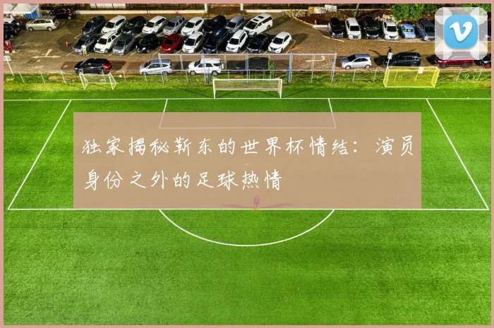 独家揭秘靳东的世界杯情结：演员身份之外的足球热情