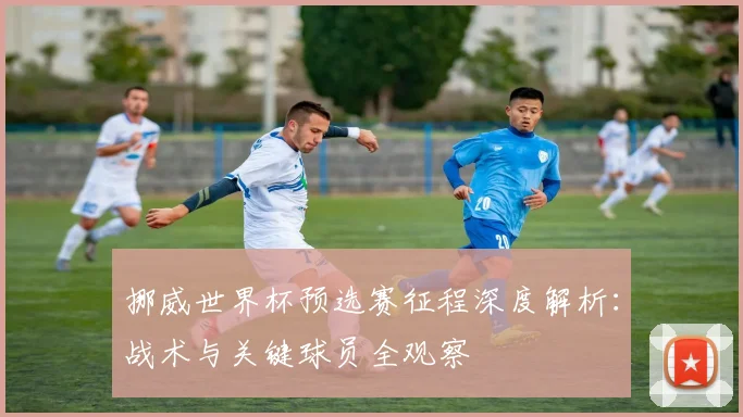 挪威世界杯预选赛征程深度解析:战术与关键球员全观察