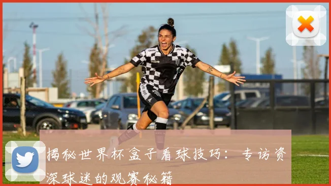 揭秘世界杯盒子看球技巧：专访资深球迷的观赛秘籍