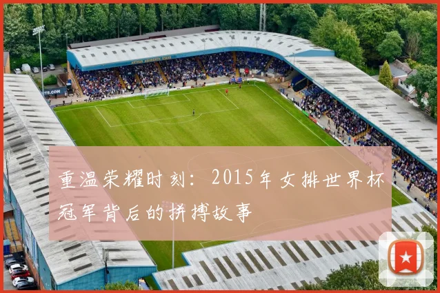 重温荣耀时刻：2015年女排世界杯冠军背后的拼搏故事